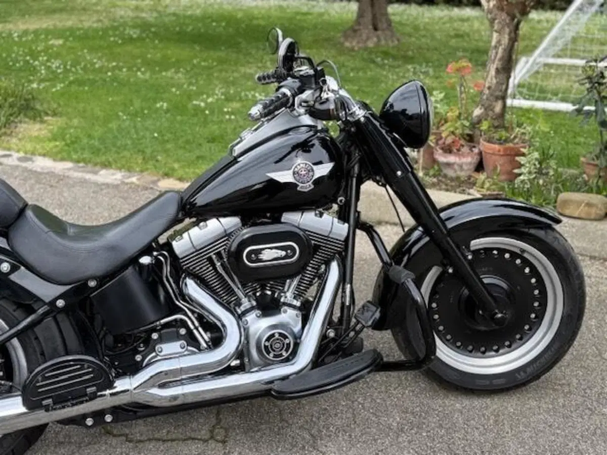Harley-Davidson 1584 Fat Boy (2008 - 10) - FLSTF (2)