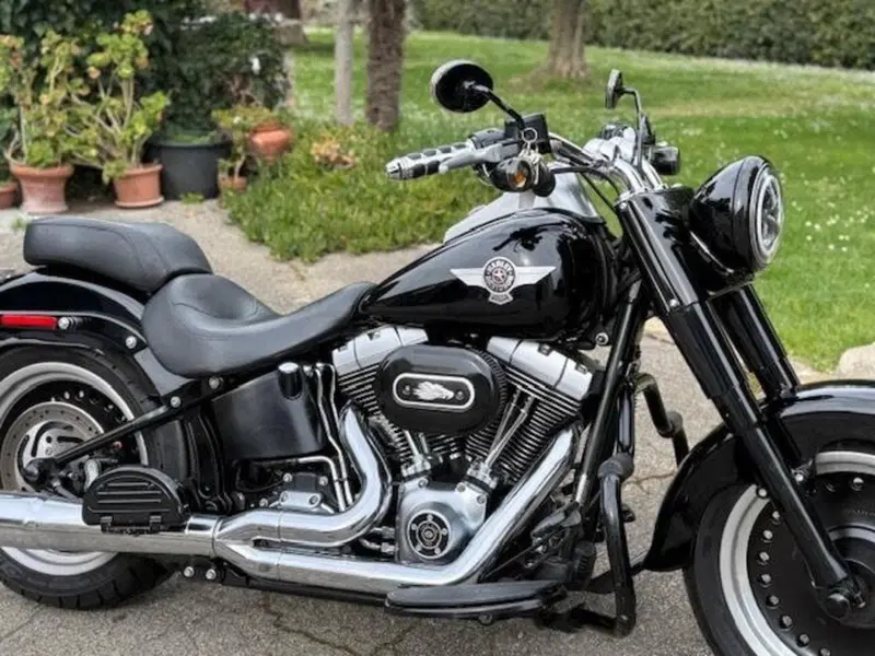 Harley-Davidson 1584 Fat Boy (2008 - 10) - FLSTF (3)