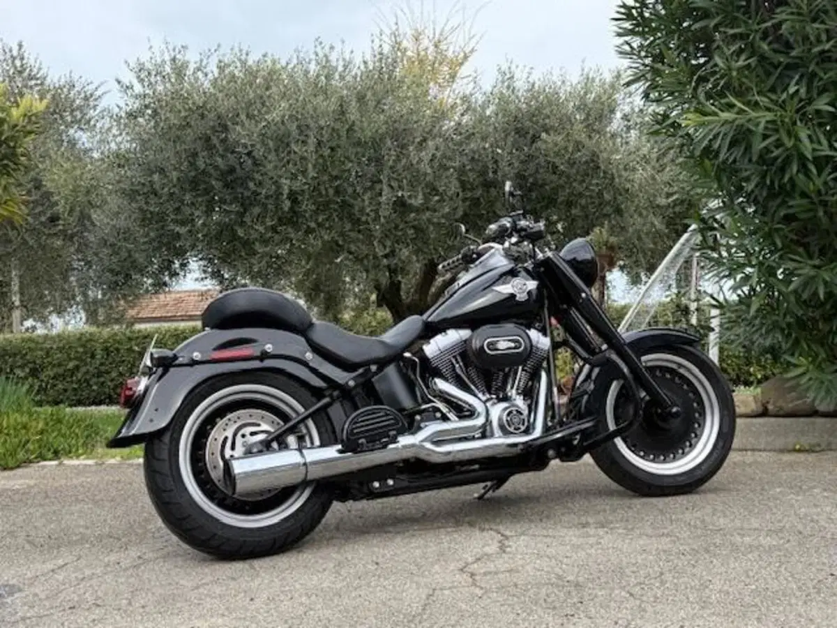 Harley-Davidson 1584 Fat Boy (2008 - 10) - FLSTF (7)