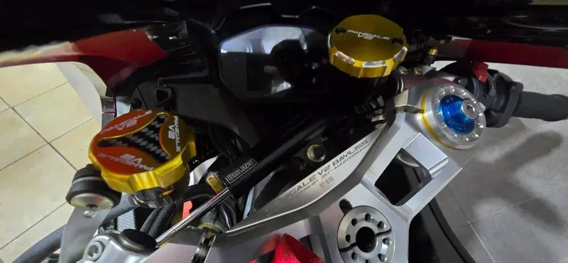 Ducati Panigale V2 Bayliss 1st Championship 20th Anniversary (2021 - 24) (14)