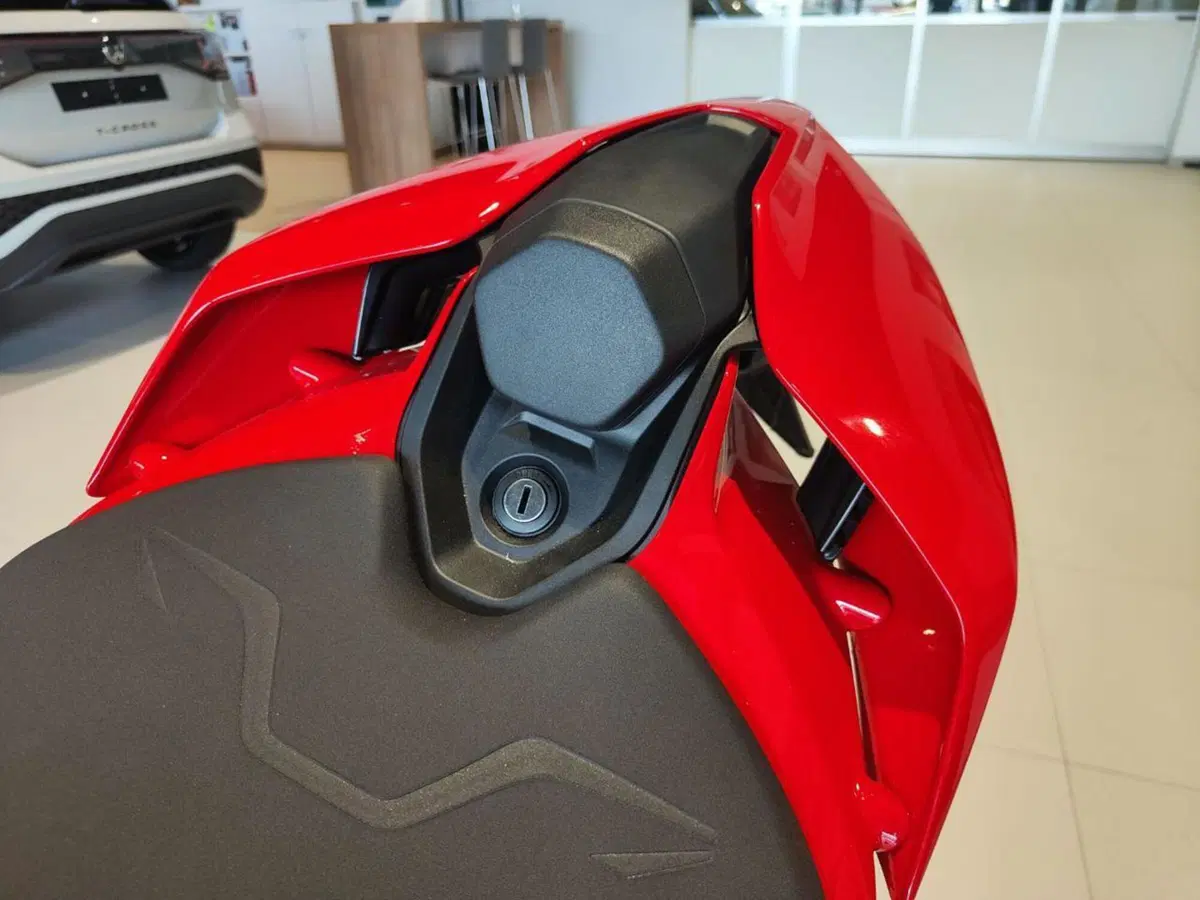 Ducati Streetfighter V4 (2025 - 26) (13)