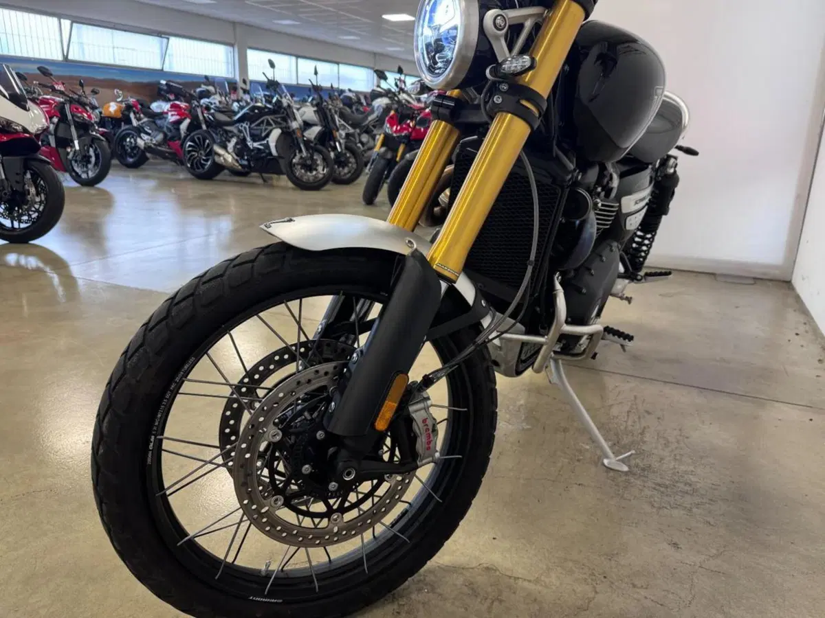 Triumph Scrambler 1200 XE (2024 - 25) (3)