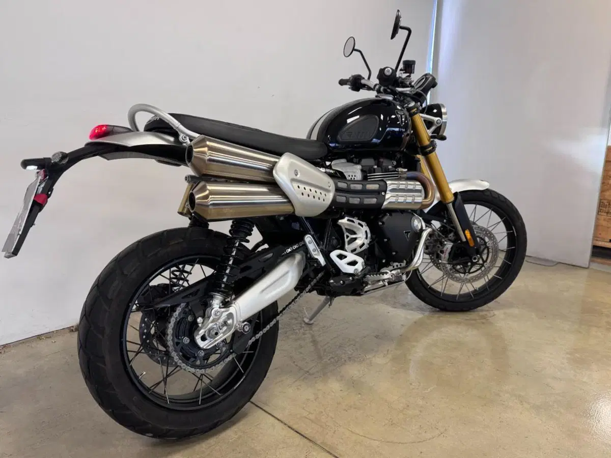 Triumph Scrambler 1200 XE (2024 - 25) (7)
