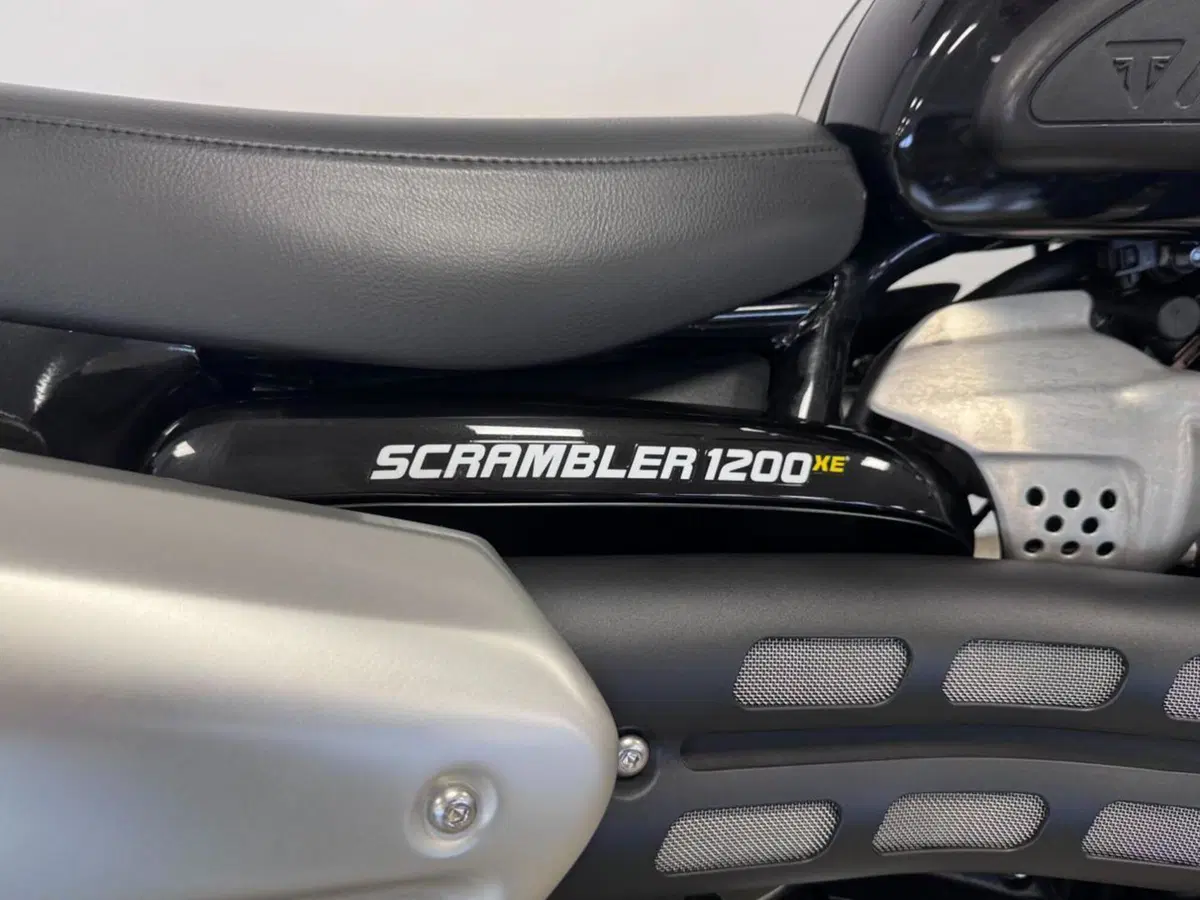 Triumph Scrambler 1200 XE (2024 - 25) (6)