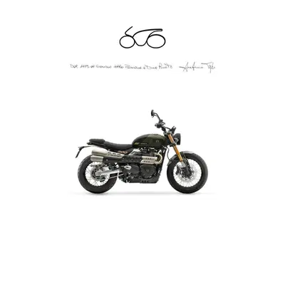 Triumph Street Scrambler 900 (2021 - 22) nuova