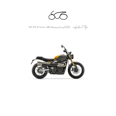 Triumph Street Scrambler 900 (2021 - 22) nuova