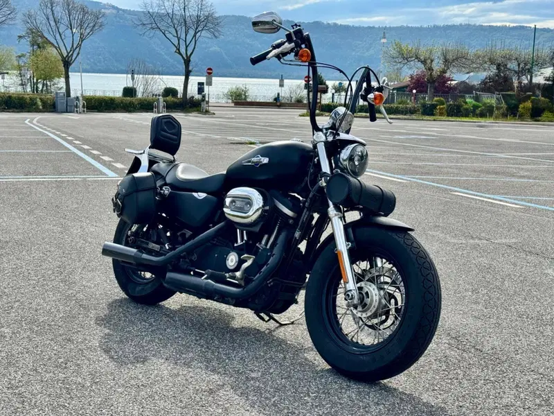 Harley-Davidson 1200 Custom CB (2013 - 17) - XL 1200CB (2)