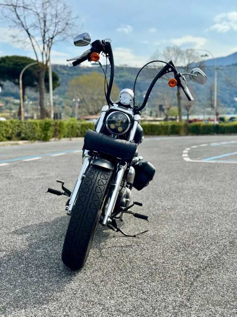 Harley-Davidson 1200 Custom CB (2013 - 17) - XL 1200CB (4)