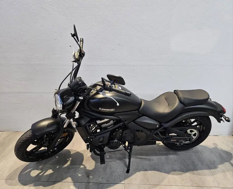 Kawasaki Eliminator 500 (2024 - 26) (2)