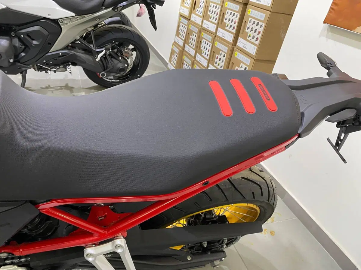 Bmw F 900 GS (2024 - 26) (7)