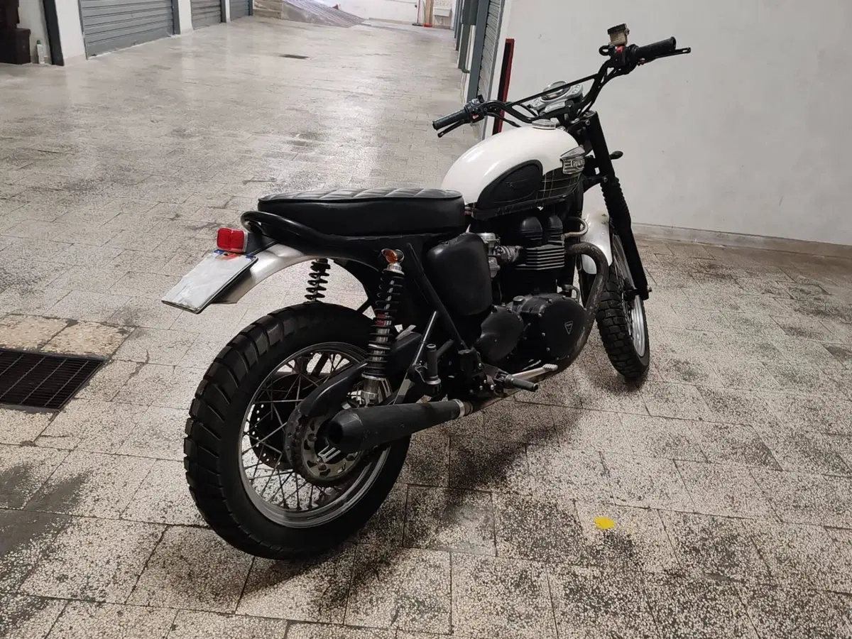 Triumph Scrambler (2006 - 17) (8)