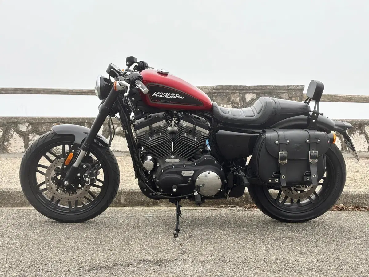Harley-Davidson 1200 Roadster (2017 - 20) - XL 1200R (3)