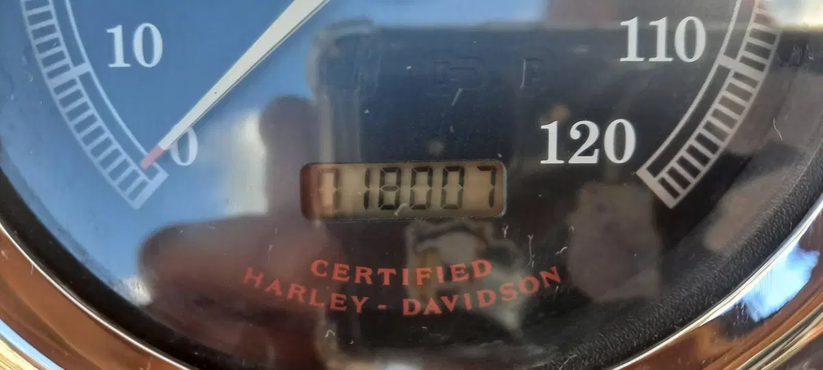 Harley-Davidson 1450 Deuce (2001 - 05) - FXSTDI (14)