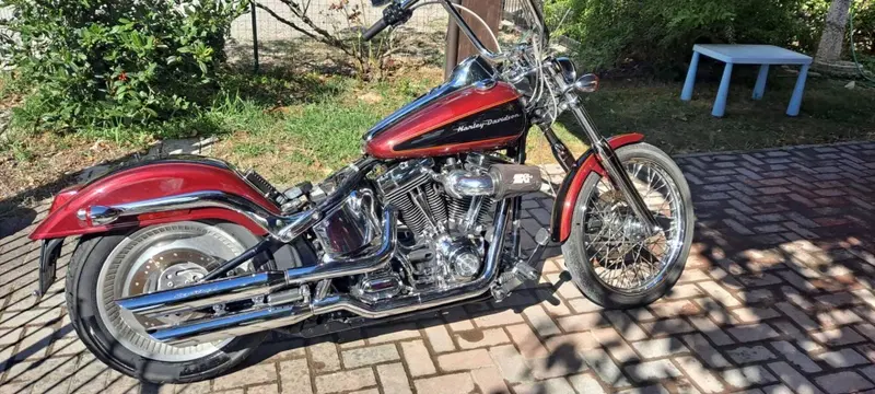 Harley-Davidson 1450 Deuce (2001 - 05) - FXSTDI (17)