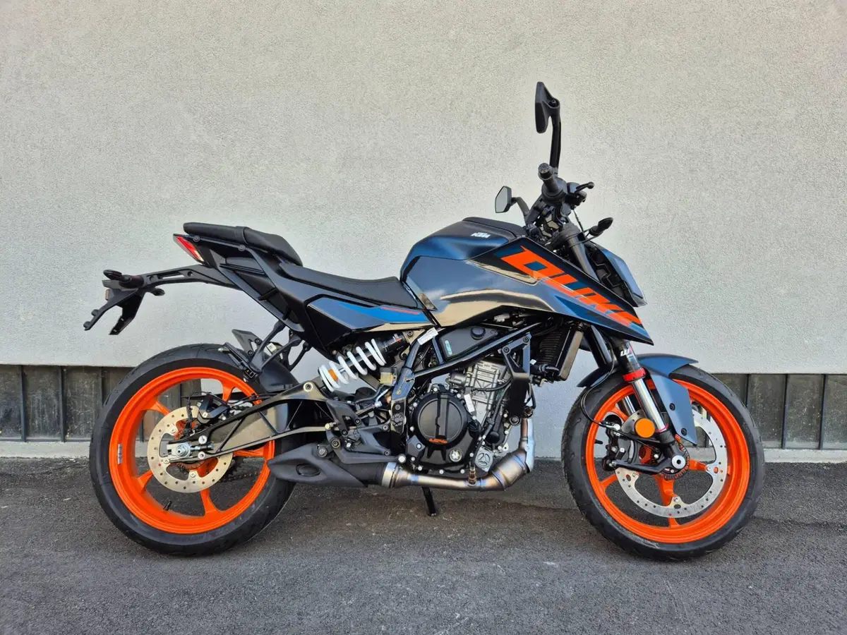 KTM 125 Duke (2024 - 25)