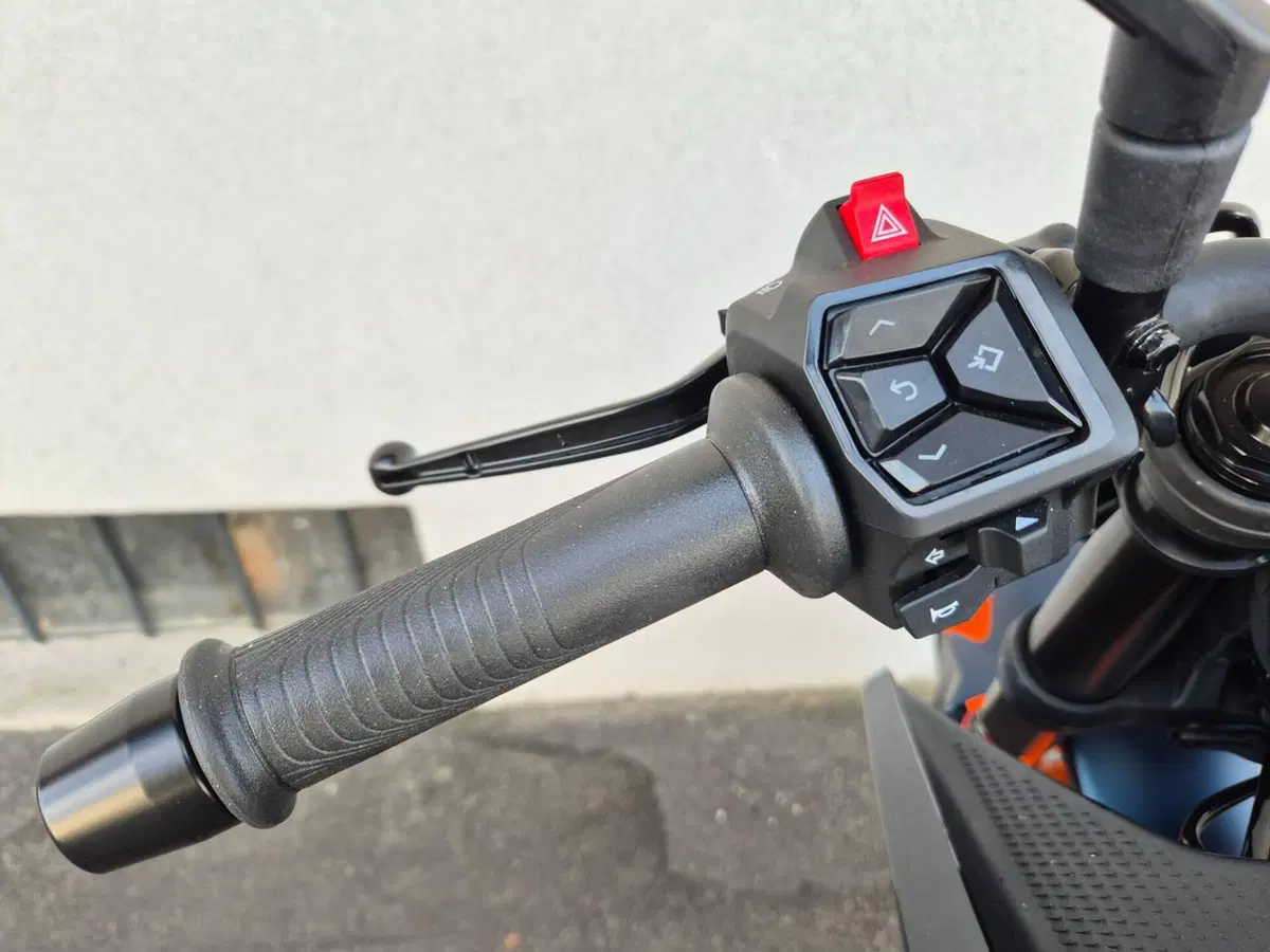 KTM 125 Duke (2024 - 25) (14)