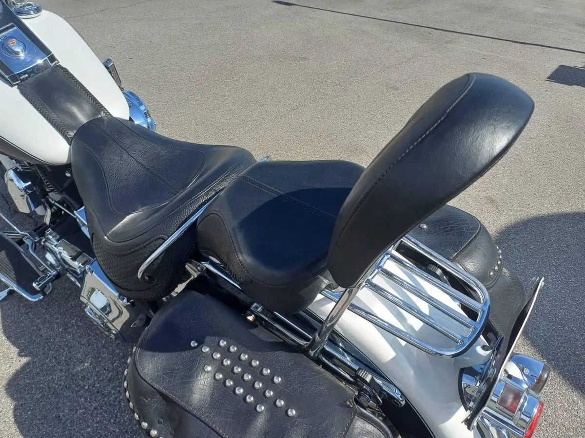Harley-Davidson 1450 Deluxe (2005 - 06) - FLSTNI (11)