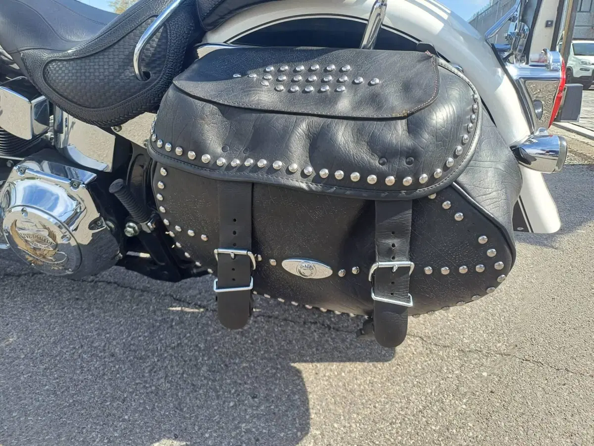 Harley-Davidson 1450 Deluxe (2005 - 06) - FLSTNI (12)