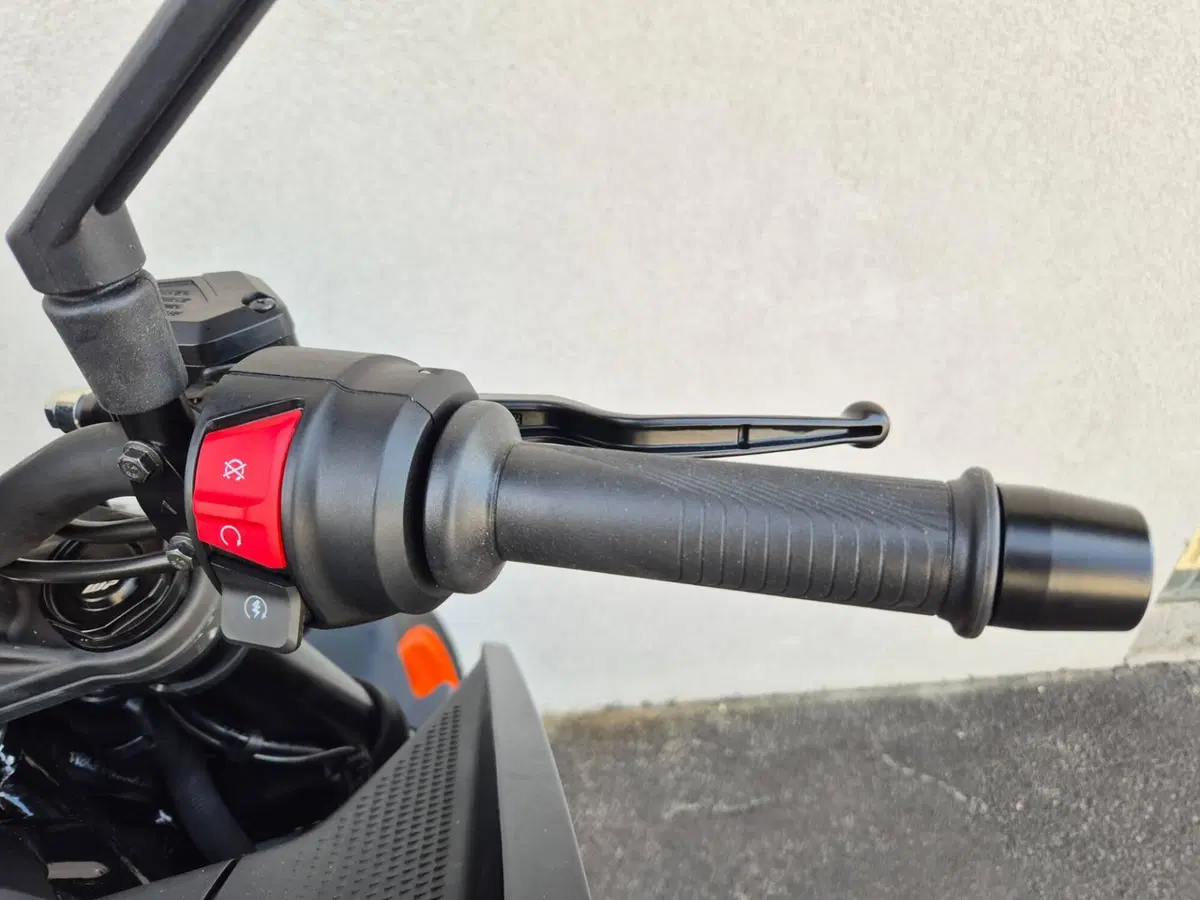 KTM 125 Duke (2024 - 25) (17)