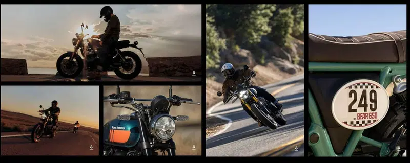 Royal Enfield Bear 650 (2025 - 26) (6)
