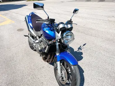 Honda Hornet 600 (2003 - 04) usata
