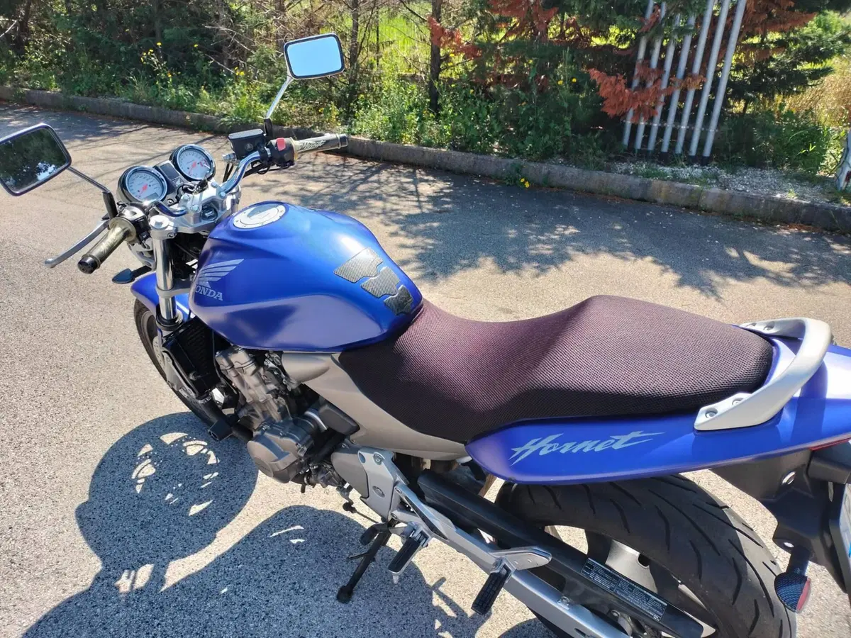 Honda Hornet 600 (2003 - 04) (9)