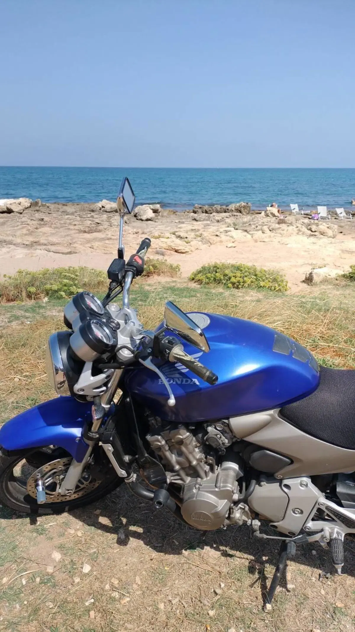 Honda Hornet 600 (2003 - 04) (16)