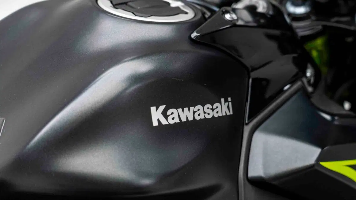 Kawasaki Z 650 (2017 - 19) (11)