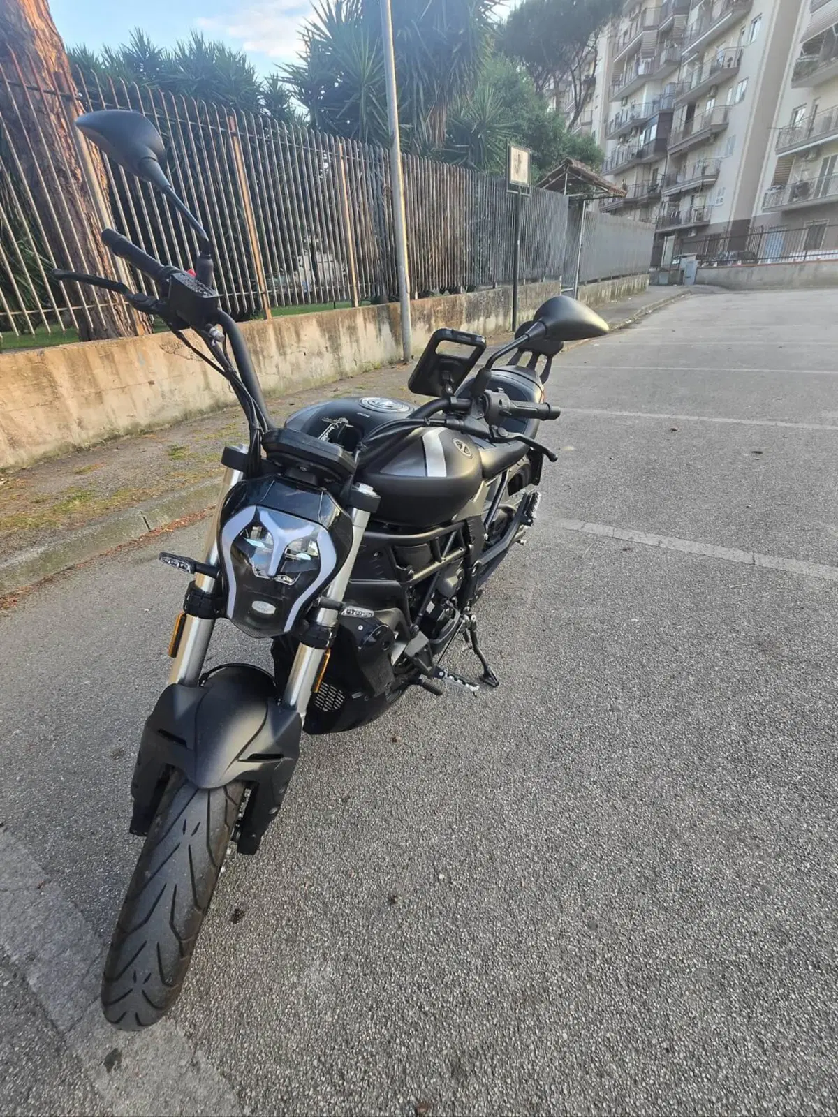 Benelli 502 C (2021 - 25) (4)