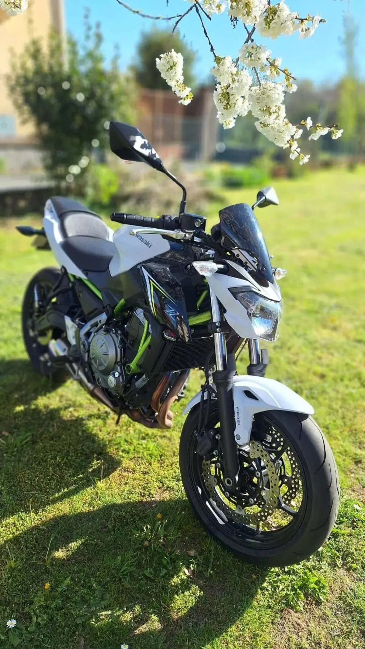 Kawasaki Z 650 (2017 - 19)