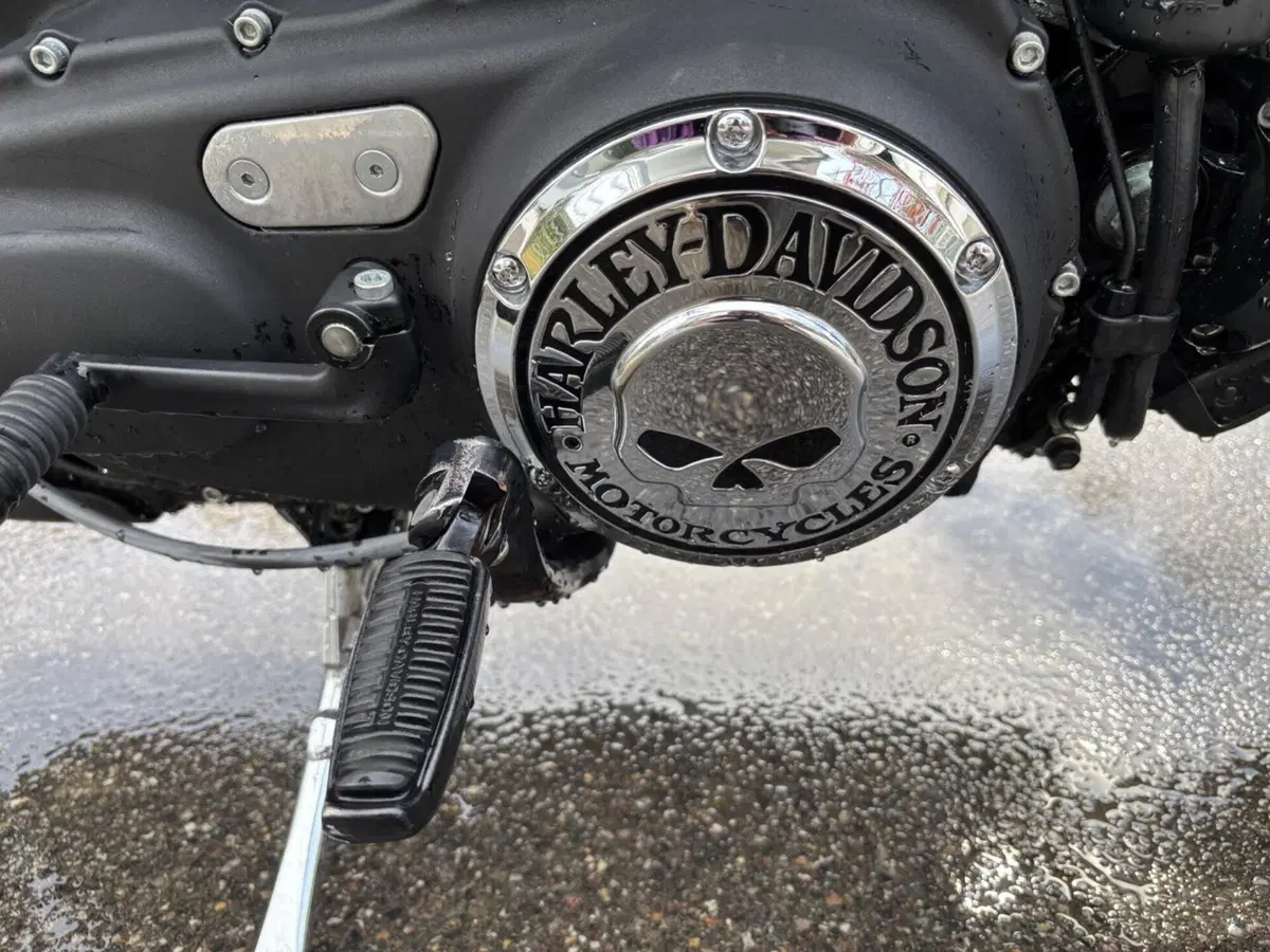 Harley-Davidson 883 Iron (2012 - 14) - XL 883N (5)