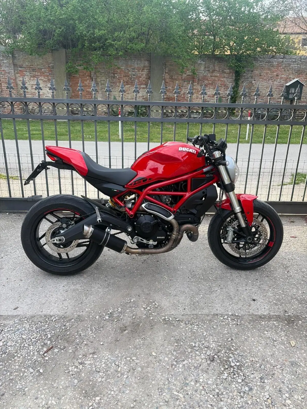 Ducati Monster 797 (2019 - 20)
