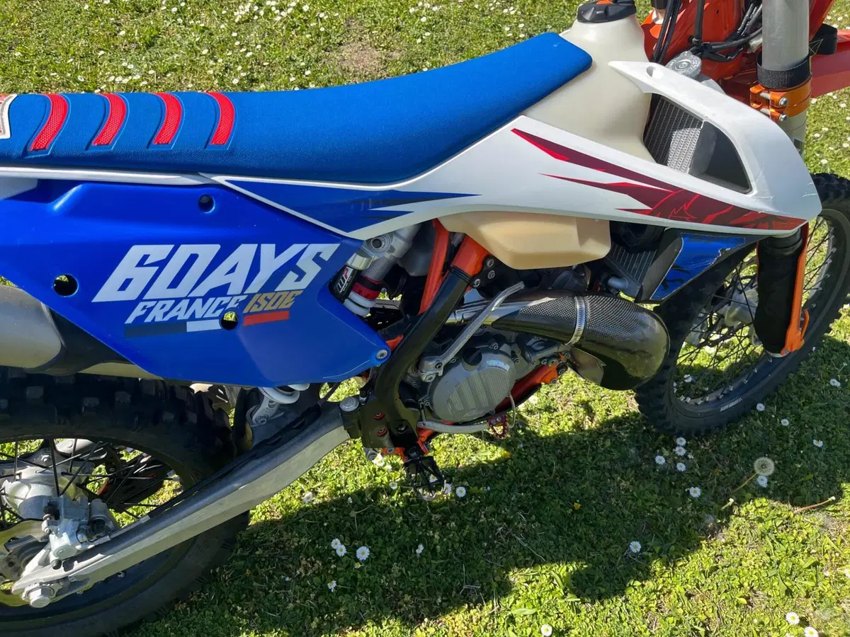 KTM 250 EXC TPI Six Days (2018) (15)