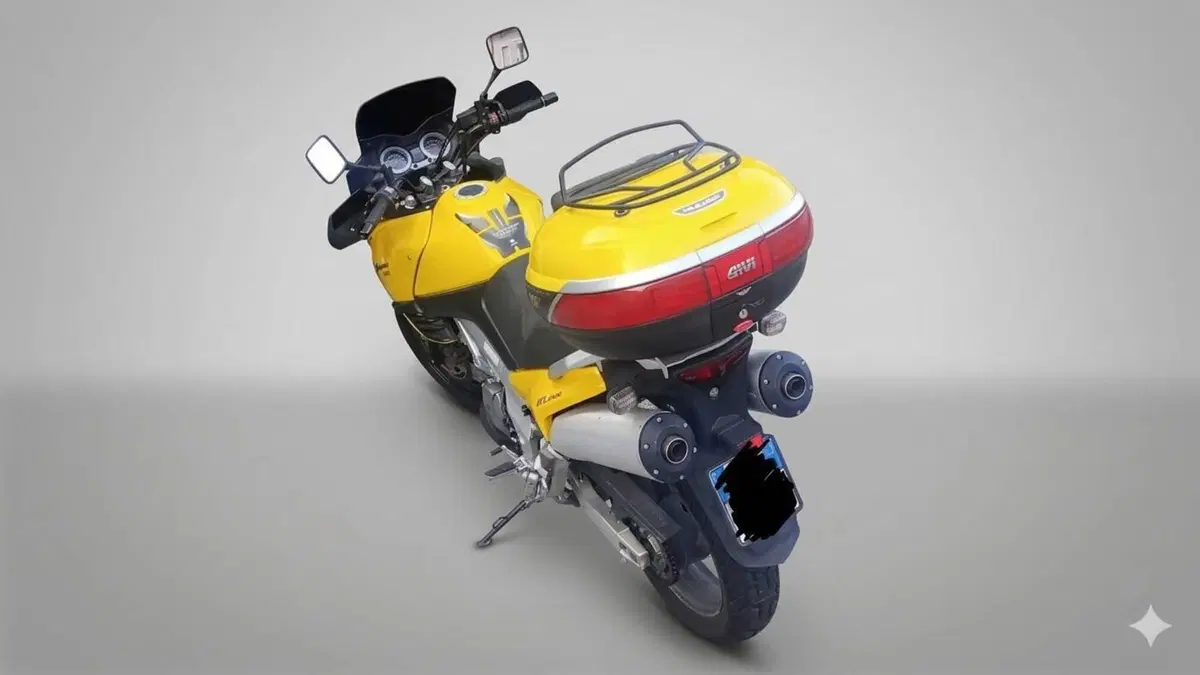 Suzuki V-Strom 1000 (2002 - 06) (4)