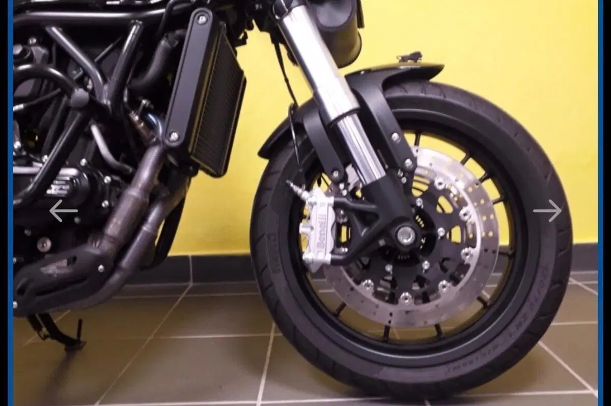Benelli Leoncino 500 (2021 - 25) (3)