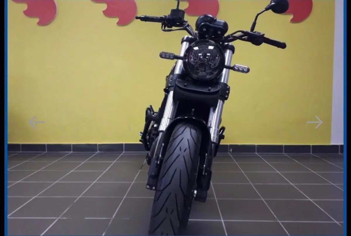 Benelli Leoncino 500 (2021 - 25) (7)