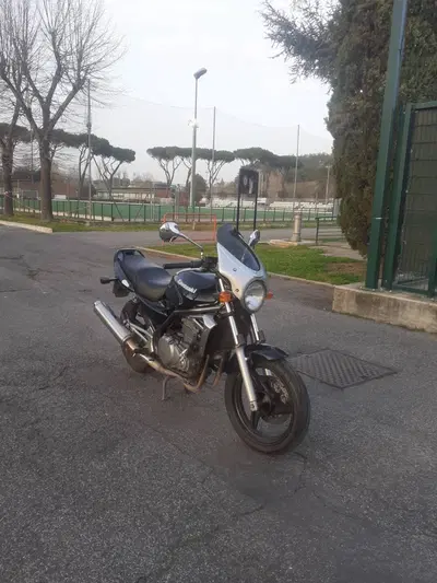 Kawasaki ER-5 500 (2001 - 06) usata