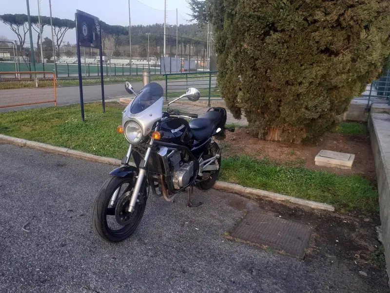 Kawasaki ER-5 500 (2001 - 06) (11)