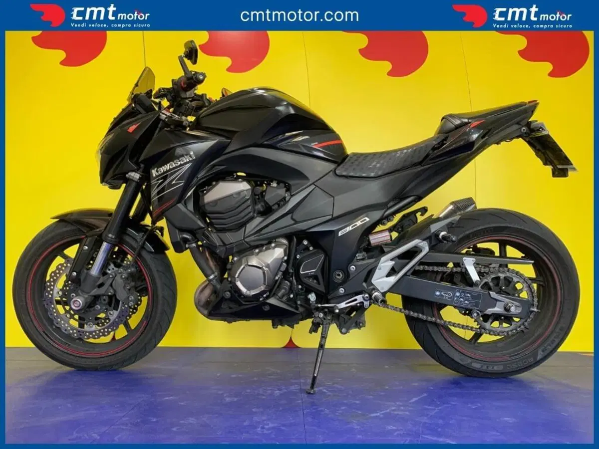 Kawasaki Z 800 (2012 - 13) (3)