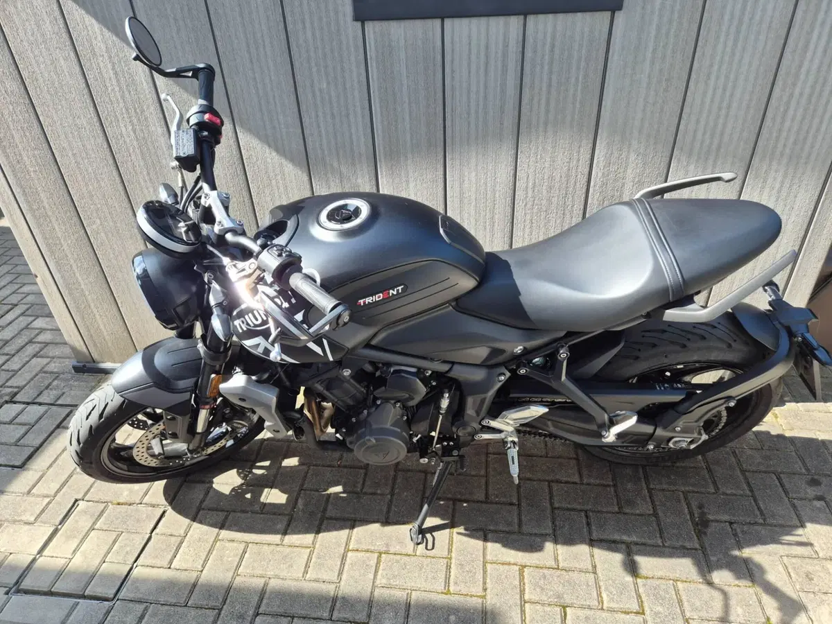 Triumph Trident 660 (2021 - 24)