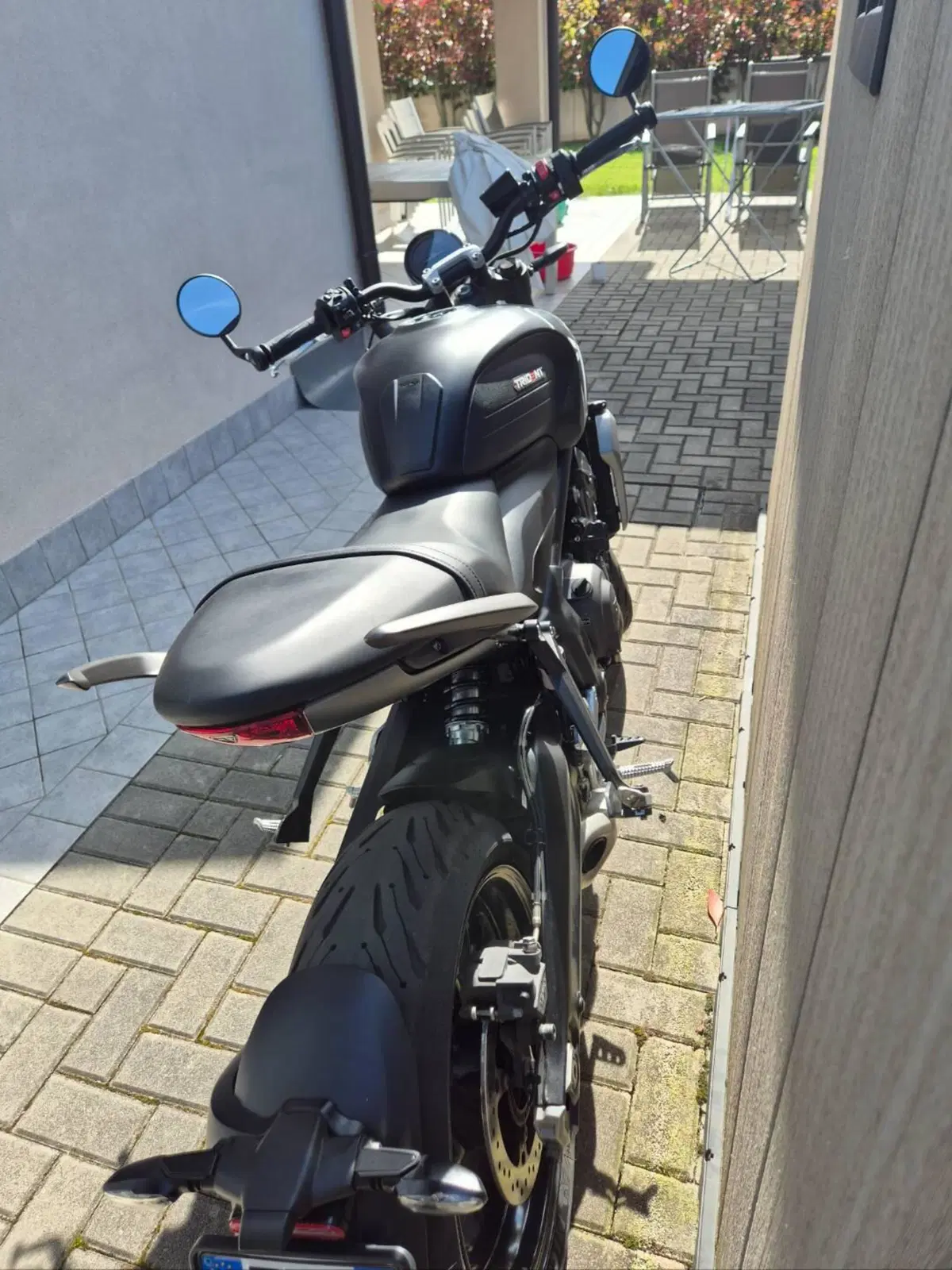 Triumph Trident 660 (2021 - 24) (5)