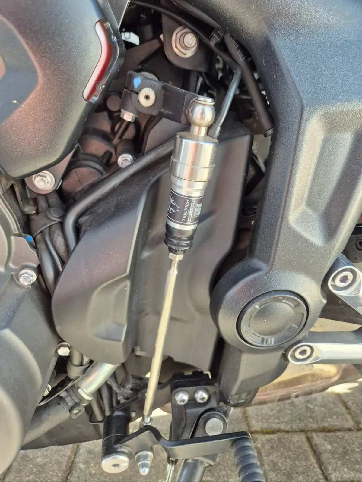 Triumph Trident 660 (2021 - 24) (7)