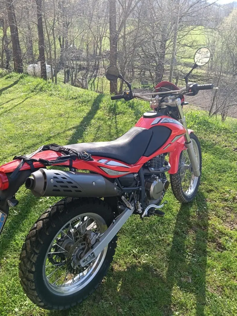 Betamotor Alp 4.0 (2006 - 08) (4)