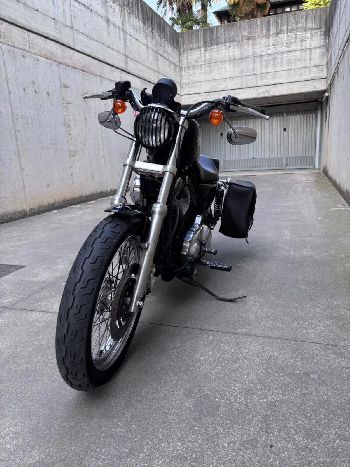 Harley-Davidson 883 Low (2008 - 12) - XL 883L (3)