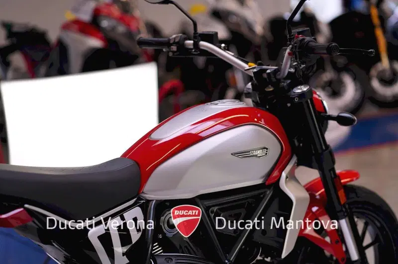 Ducati Scrambler 800 Icon (2023 - 24) (10)
