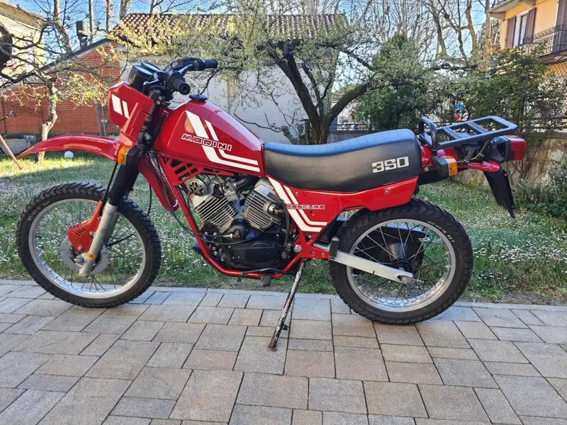 Morini kanguro
