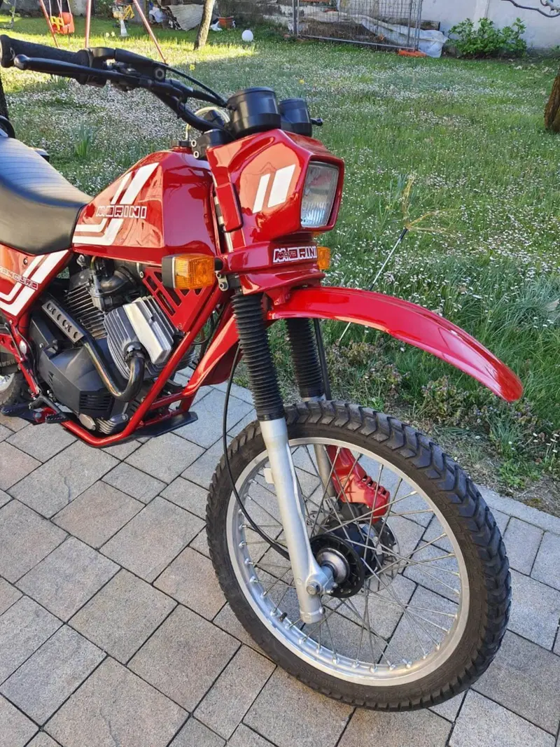 Morini kanguro (4)