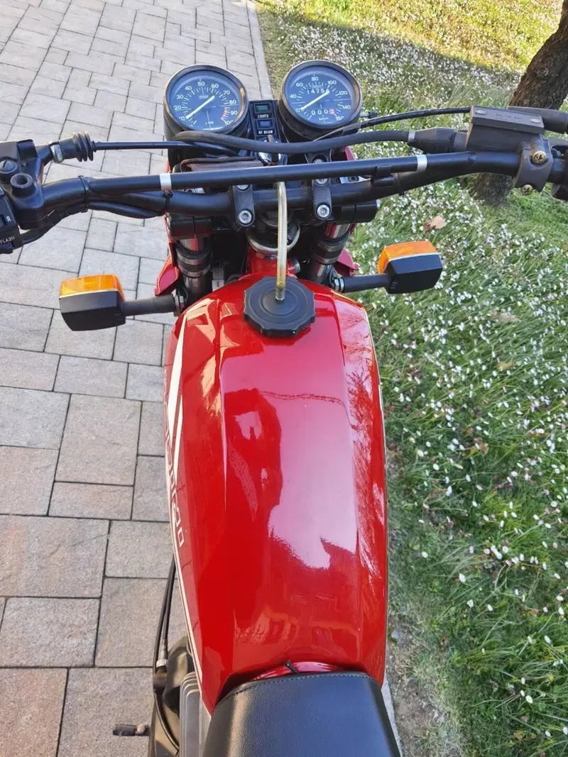 Morini kanguro (8)