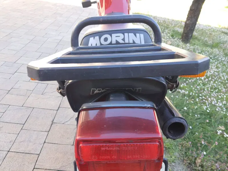 Morini kanguro (9)
