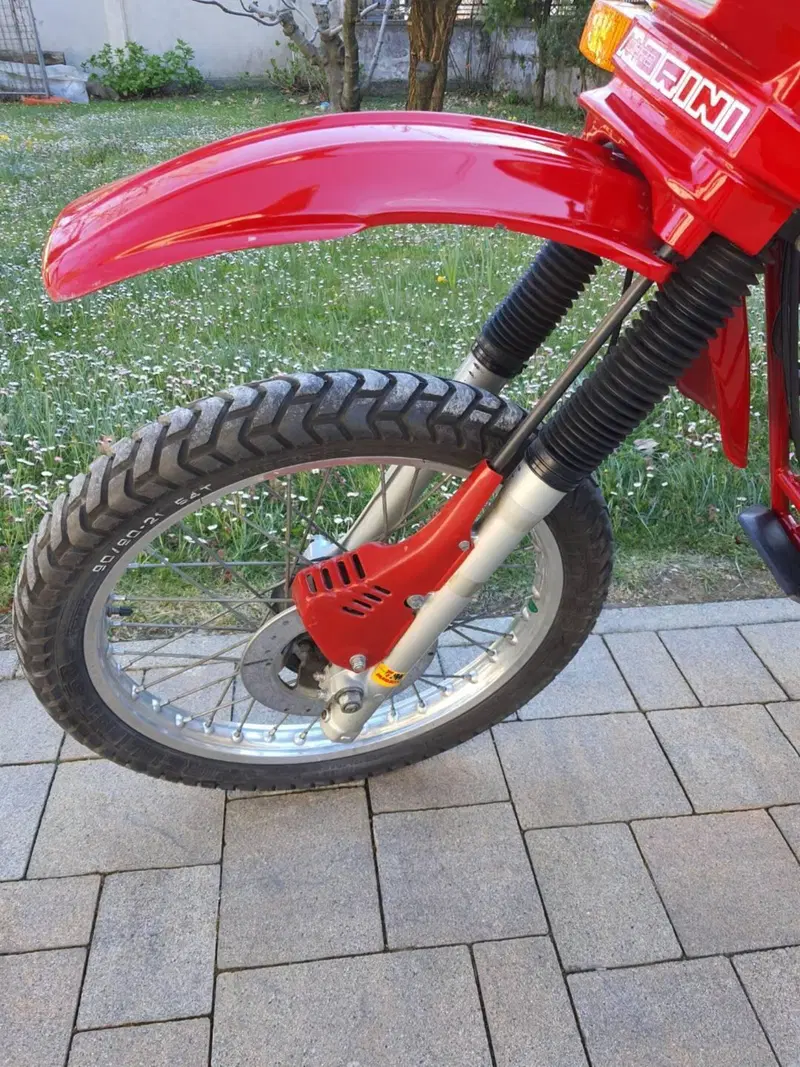 Morini kanguro (11)
